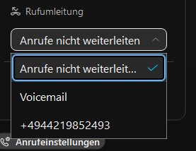 anrufeinstellungen.png